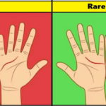 The Secrets Of Palmistry Revealed As These Lines Have Deep Impact In Our Life