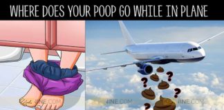 Happens , Airplane , Toilet, topic , aircraft , built-in , system
