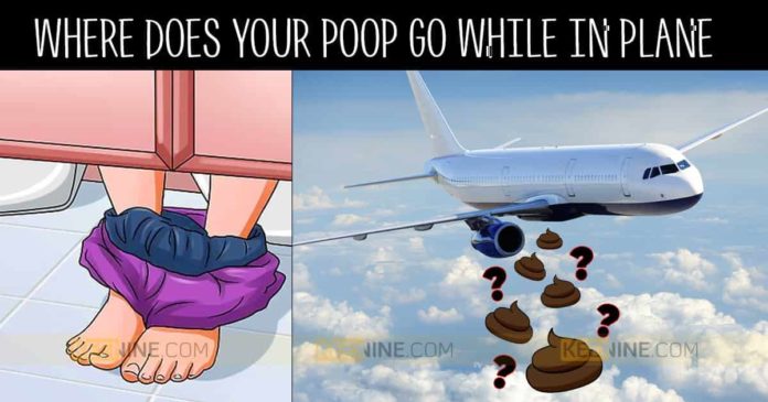 Happens , Airplane , Toilet, topic , aircraft , built-in , system