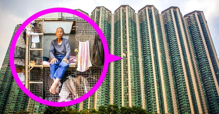 Hong Kong, Cage, Population, Density, immense, grow,