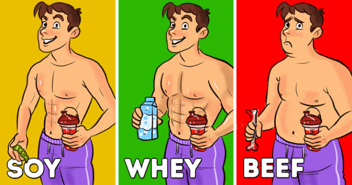 best-supplements-protein