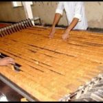 Parle-g-girl-real-story-mystery