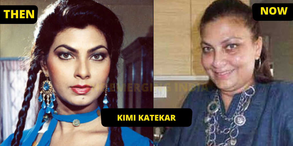 Leading Lady,  Actresses Transformation, Bollywood actresses , 90s Bollywood actresses, Kimi Katekar, Mamta Kulkarni, Meenakshi Seshadri, Meenakshi Seshadri, Anu Aggarwal,
