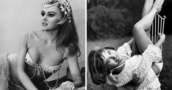 d8de57576b8618da2af358a3c3