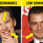 facial-expression-determines-your-dominance-trustworthiness-attractiveness.