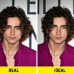 Timothée-Chalametgolden-ratio-face-celebrities-male