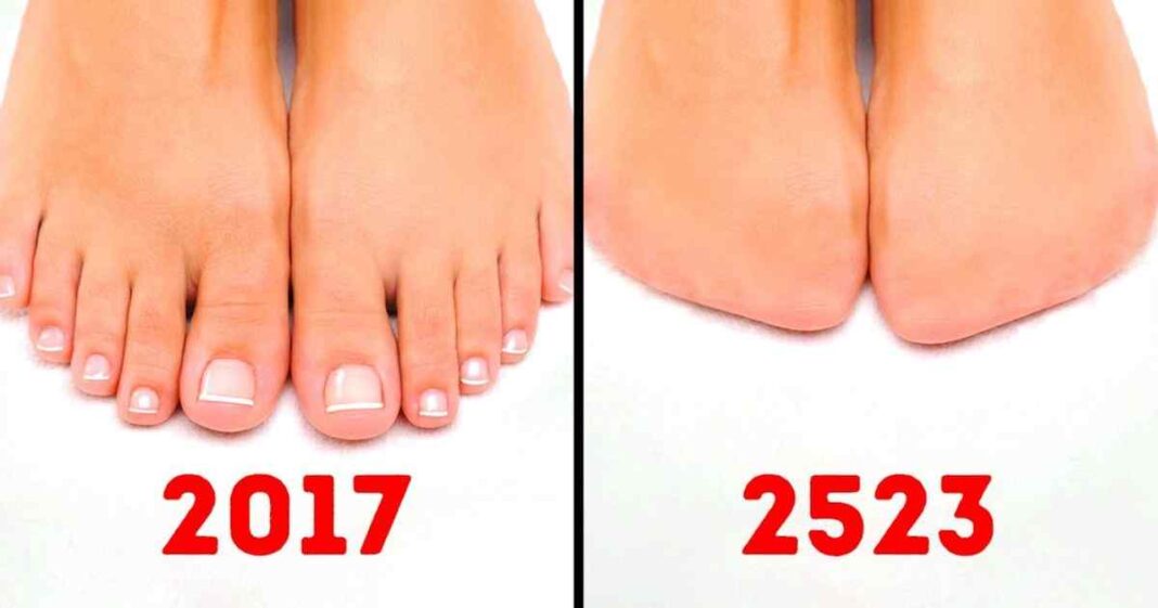 15 Parts of the Human Body That Will Disappear in the Future