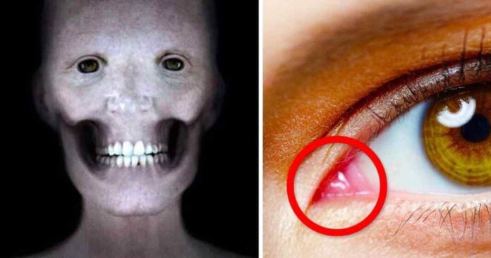 facts-about-the-human-body-that-will-send-chills-down-your-spine