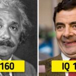 hollywood-stars-who-can-easily-outsmart-harvard-graduates