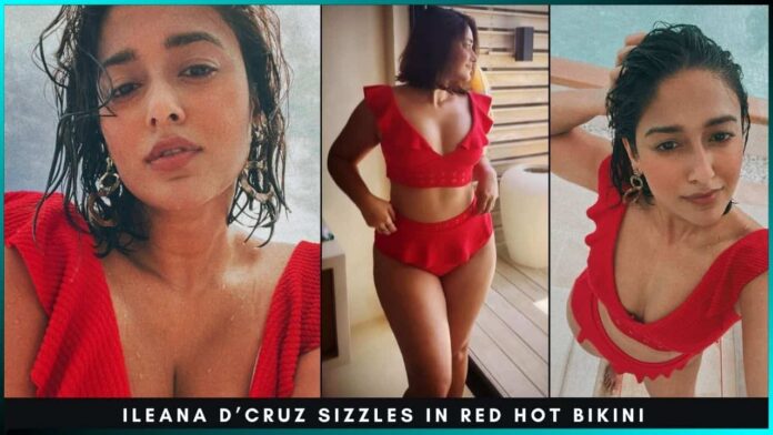 ileana-dcruz-hot-bikini-pic