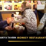 kayabukiya-tavern-monkey-restaurant-in-japan