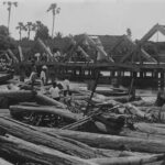 image-2022-05-31T083723.860