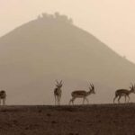 top-10-hottest-places-on-earth