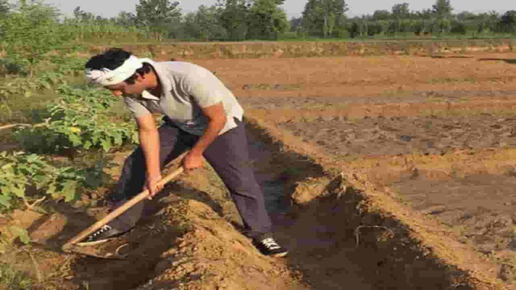 Nawazuddin Siddhiqui farming, Nawazuddin Siddhiqui farmer, 