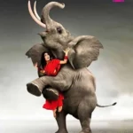 Avunu-2-telgu-horror-movies