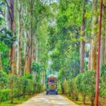 Padmapuram-Botanical-Garden