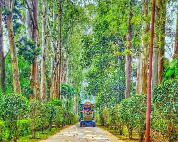 Araku Valley, resorts, Araku Tribal Museum, Bongulo Chicken, Vizag, Ananthagiri Hills, Borra Caves, Botanical Garden,