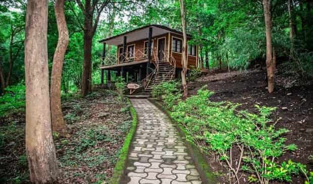 Araku Valley, resorts, Araku Tribal Museum, Bongulo Chicken, Vizag, Ananthagiri Hills, Borra Caves, Botanical Garden,