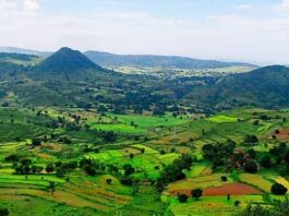 Araku Valley, resorts, Araku Tribal Museum, Bongulo Chicken, Vizag, Ananthagiri Hills, Borra Caves, Botanical Garden,
