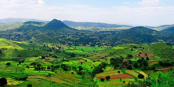 araku-valley-vizag-tourism Araku Valley, resorts, Araku Tribal Museum, Bongulo Chicken, Vizag, Ananthagiri Hills, Borra Caves, Botanical Garden,