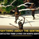sentinelese-tribe-facts
