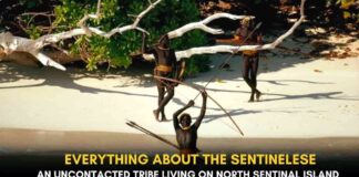 The Sentinelese, North Sentinal Island, the tribe dangerous island, dangerous tribe, North Sentinel Island