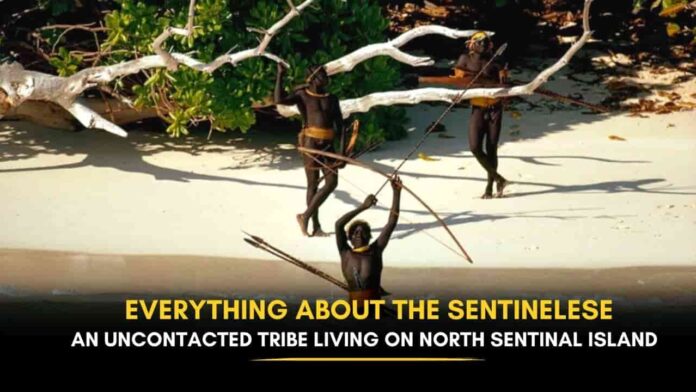The Sentinelese, North Sentinal Island, the tribe dangerous island, dangerous tribe, North Sentinel Island