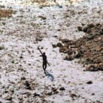 the-sentinel-tribe-documentary