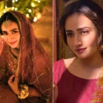 Sana-Javed-Movies-And-TV-Shows