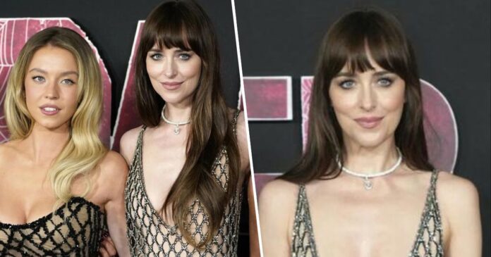 dakota-johnson-hot_