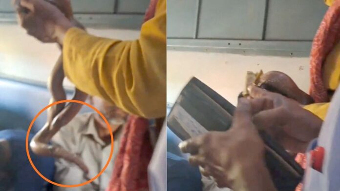 Man-Carrying-Snake-And-Asking-For-Money-in-train