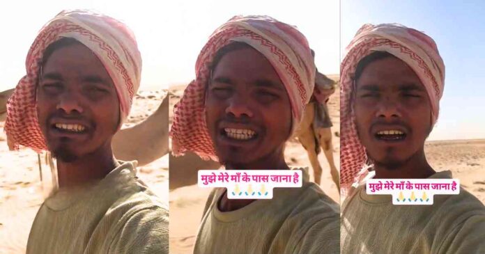 up-man-saudi-hostage-viral-video-debunked-ankit-bhartis-claims-dismissed-as-views-stunt-indian-embassy-probes-amid-family-drama