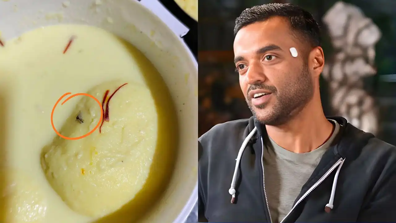 Zomato Responds After Customer Complains About Finding An Insect In Rasmalai Order