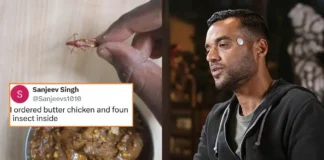 Zomato insect in food