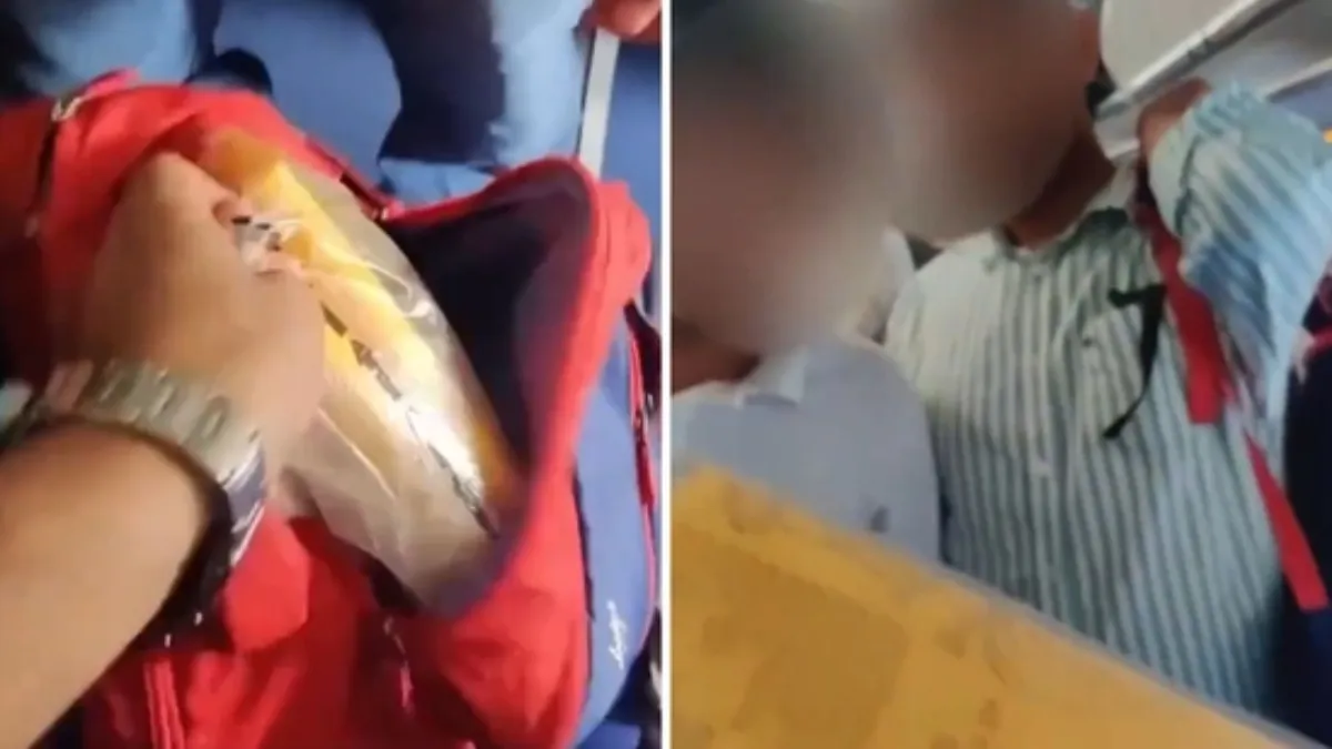 Viral Video: Man Caught Stealing Life Jacket from IndiGo Flight in Bizarre, Audacious Incident