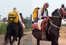 Blinkit horse delivery video