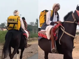 Blinkit horse delivery video