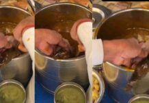 Rat in golgappa video