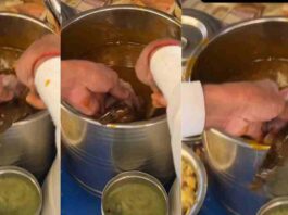 Rat in golgappa video