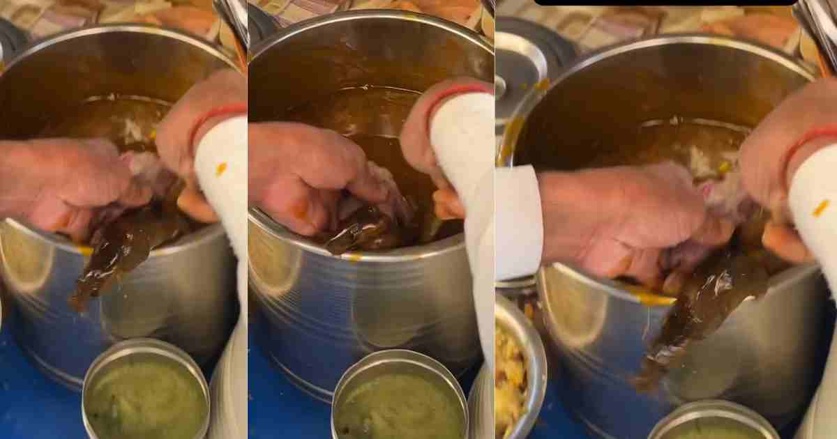 Viral Video: Rat Jumps Out of Golgappa Mixture at Amritsar Street Stall – Hygiene Crisis Sparks Nationwide Outrage