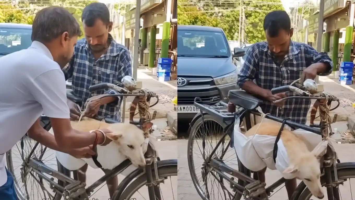 Mumbai Man Cycles Sick Stray Dog to Vet on His Bicycle – Heartwarming Video Goes Viral
