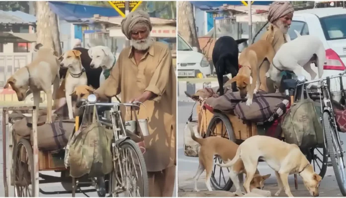 elderly-rickshaw-driver-gives-ride-to-5-stray-dogs-viral-2026