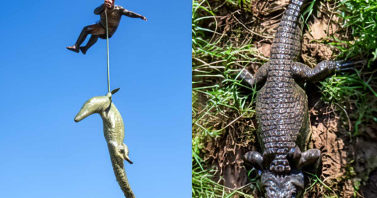Human Remains Found Inside 15-Foot Crocodile After Dramatic Airlift in South Africa – Shocking Discovery