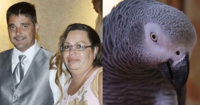 woman-convicted-killing-husband-parrot-repeated-last-words