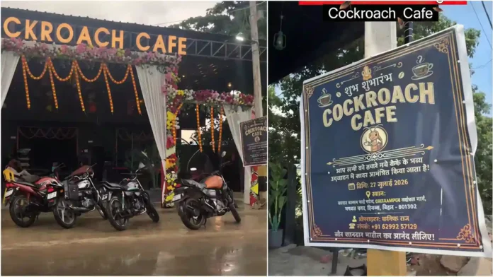 bihars-new-cockroach-cafe-goes-viral-after-vloggers-share-a-sneak-peek