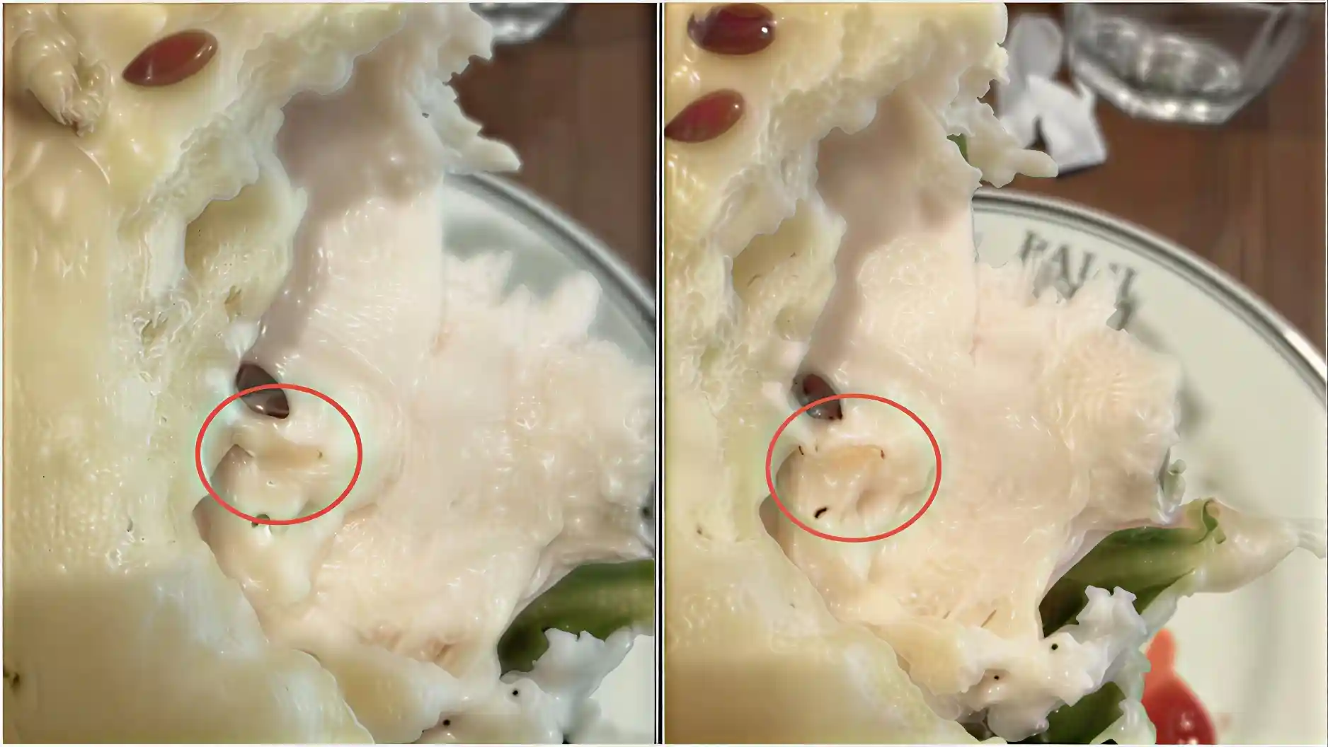 Live Worm Found in Food at High-End Gurugram Restaurant – Diner Calls Out Hygiene Lapse in Viral Video