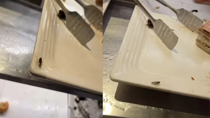 cockroaches-on-pastry-tray-barbeque-nation-virar-viral-video