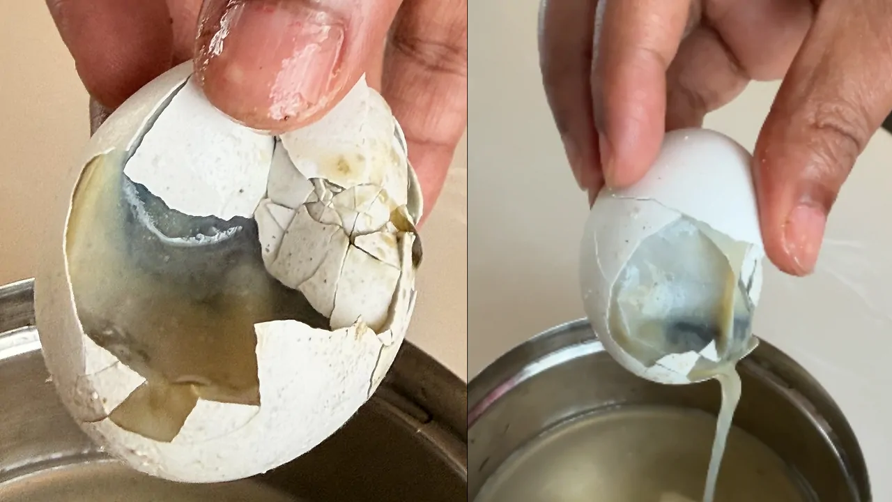 Swiggy Instamart Customer Orders Eggs Online, Gets Almost Every Egg Badly Rotten – Viral Video